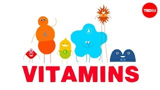 How do vitamins work  Ginnie Trinh Nguyen [upl. by Aniluj]