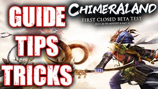 Beginners Guide Of Chimeraland Tips And Tricks [upl. by Candida748]