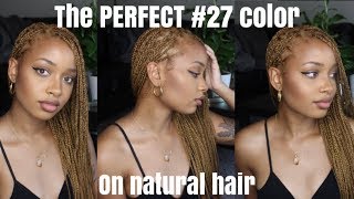 Black to Honey Blonde  How to Get the Perfect 27 Color On Natural Hair [upl. by Eiruam]