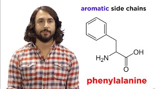 Amino Acids [upl. by Ramonda]