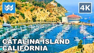 Walking Tour of Catalina Islands Avalon Town amp Harbor in California USA 🎧 Tips amp Travel Guide【4K】 [upl. by Vally35]