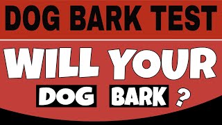 Dog Bark Test  This Sound Will Make Your Dogs Barking [upl. by An506]