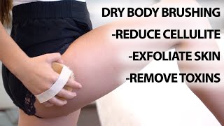 Dry Body Brushing Tutorial  How To Reduce Cellulite [upl. by Ahsekyw990]