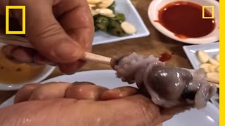 Would You Eat Live Octopus  National Geographic [upl. by Ellynad508]