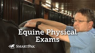 Equine Physical Exams [upl. by Syla]