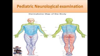 Generic Physiotherapy Neuro Assessment James Sharp [upl. by Auqenat]