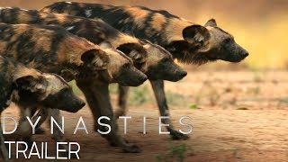 Dynasties Official Trailer 2  New David Attenborough Series  BBC Earth [upl. by Cerallua]