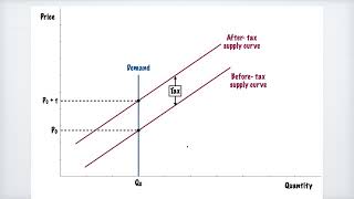 Burden of Taxation Relationship to Price Elasticity of Supply and Demand [upl. by Slayton]