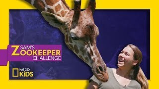 Leafy Lunchtime with Giraffes  Sams Zookeeper Challenge [upl. by Anilahs]