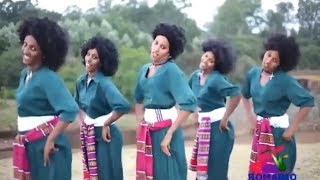 Best Ethiopian Traditional Music 2014 Solomon Demle  Mech Ayeshiwuna [upl. by Onilecram]