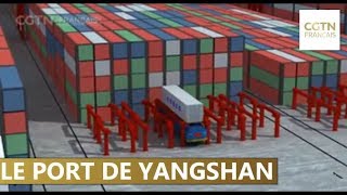 Le port de Yangshan ou lautomatisation à grande échelle de la gestion [upl. by Enutrof]