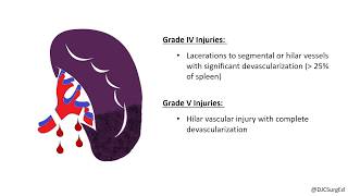 Splenic Injury [upl. by Odrautse865]