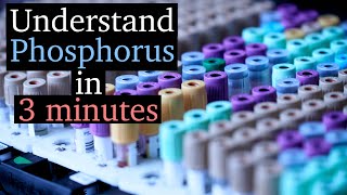 Hypophosphatemia vs Hyperphosphatemia  Phosphorus Imbalances [upl. by Kcirddor]