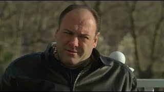 Tony Talks To Janice  The Sopranos HD [upl. by Starling180]