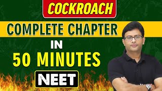 COCKROACH in 50 Minutes  Complete Chapter for NEET [upl. by Dibb]