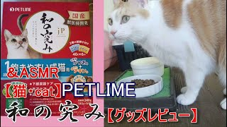 【猫・cat】PETLINE 和の究み【グッズレビュー】＆ASMR [upl. by Wilder]