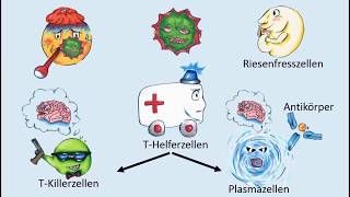 Wie funktioniert unser Immunsystem [upl. by Merrick]