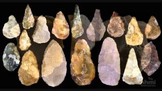 Stone Tool Technology of Our Human Ancestors — HHMI BioInteractive Video [upl. by Tamis807]