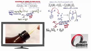 Amines 4 Reactions with acids to form Salts [upl. by Bumgardner137]