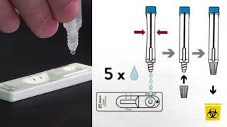 Rapid antigen screening [upl. by Kellda126]