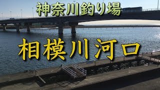 神奈川釣り場 相模川河口 茅ヶ崎 平塚 シーバス釣り ちょい投げ釣り サビキ釣り MANCING MANIA JAPAN [upl. by Lina128]