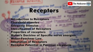 Receptors Physiology [upl. by Nyllewell]