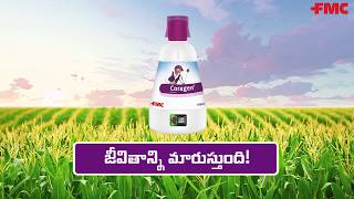 FMC Coragen® in Maize  A Walkthrough in Telugu  FMC India [upl. by Aillimac]