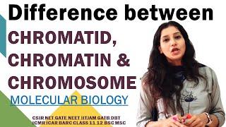 Difference Between CHROMATIN CHROMATID amp CHROMOSOME Molecular Biology NEET CSIRNET IITJAM GATE DBT [upl. by Nuncia]