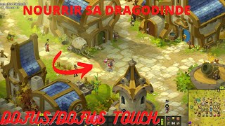 TUTO COMMENT NOURRIR UNE DRAGODINDE SUR DOFUS TOUCH  DOFUS FACILEMENT [upl. by Mehelhteb255]