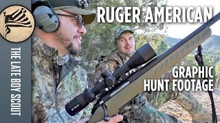 Coyote Hunt wthe Ruger American Ranch 556 GRAPHIC [upl. by Salkcin337]