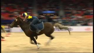 Mounted Games  Gothenburg Horse Show  2015 [upl. by Atisor]