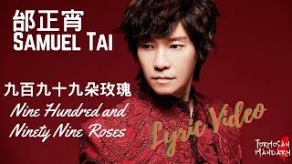 九百九拾九朵玫瑰 999 Roses  邰正宵 Samuel Tai  Chinese  Pinyin  English Lyrics 歌詞 [upl. by Yelwah286]