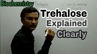 Trehalose Disaccharide  Biochemistry lecture [upl. by Ferren986]