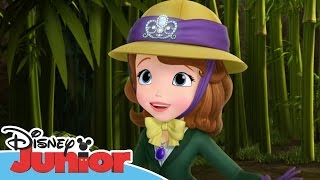 Sofia the First  Stronger Than You Know  Official Disney Junior Africa [upl. by Trinity412]