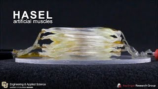 HASEL actuators with musclelike performance [upl. by Yancy]