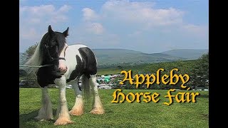 APPLEBY GYPSY HORSE FAIR [upl. by Rubetta]