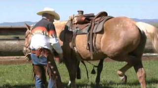 How to Western Saddle a Horse [upl. by Sabrina]