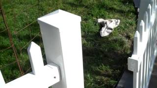 VERANDA white Vinyl Fence Bracket [upl. by Yrrac]