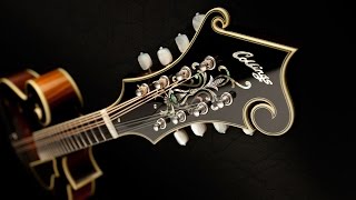 Inside Collings Mandolins [upl. by Milli]