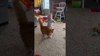 Adorable Fluffy Cat Helps Baby Take First Steps [upl. by Kezer761]