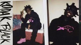 The REAL Kodak Black Story Documentary [upl. by Liahus]