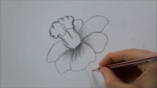 How To Draw a Flower step by step In 6 Minutes [upl. by Ticknor]