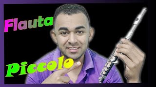 🎼 FLAUTA PICCOLO o FLAUTÍN [upl. by Anstus]