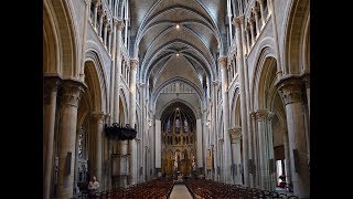 Lausanne  Cathédrale NotreDame [upl. by Gonroff319]