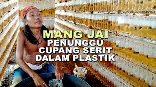 PETERNAK CUPANG SERIT DALAM PLASTIK [upl. by Giannini]