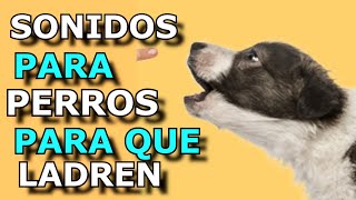 Sonido de Perro 🐶 🐶 Los mejores LADRIDOS DE PERROS 🐶 [upl. by Haisa]