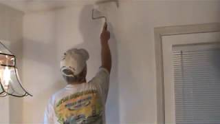 How to Apply PVA Primer Sealer to Wall [upl. by Hiamerej431]