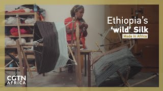 Made in Africa Ethiopian weaver modernises ancient craft [upl. by Nylidnam]