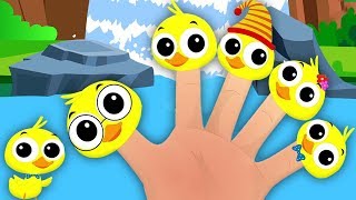 anatre famiglia dito  filastrocche per bambini  Ducks Finger Family  Kids Song  Kids Tv Italiano [upl. by Brana]