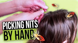 Nit Picking By Hand  How to Pick Nits and Lice Eggs out of Hair [upl. by Nauqal125]